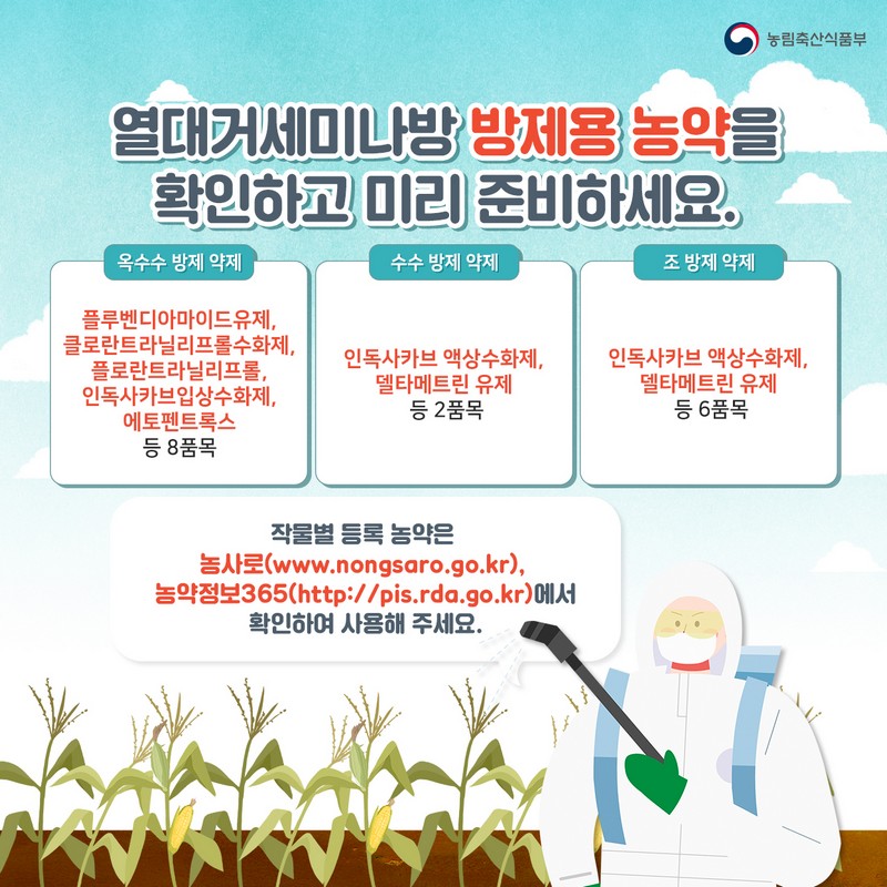 열대거세미나방 발생시 신속한 방제를 실시하여 피해를 예방합시다! 사진 5번