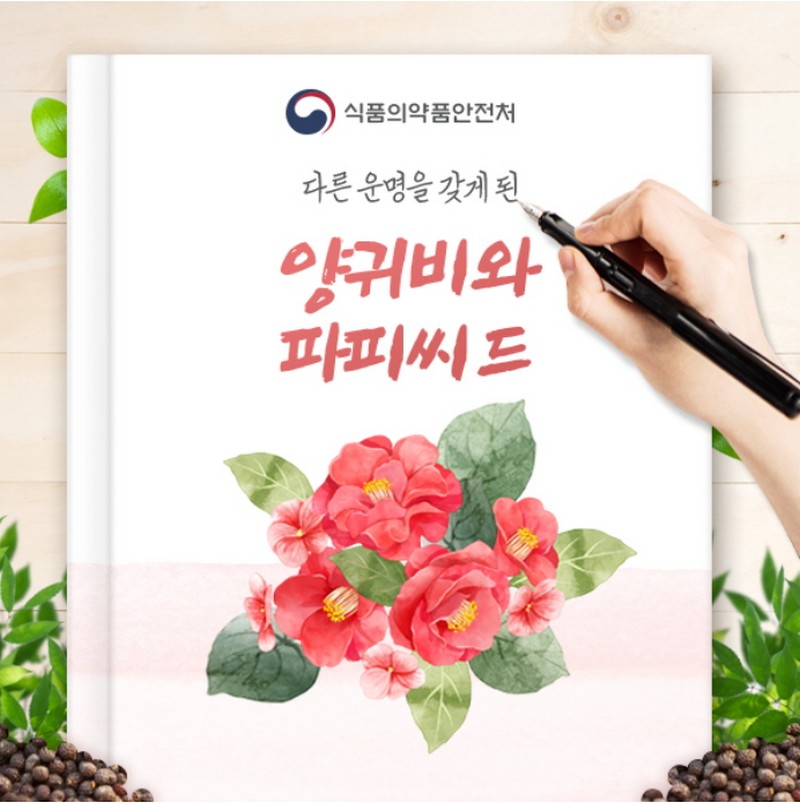 ‘마약 성분’ 양귀비, 식품원료로 사용할 수 있다? 사진 1번