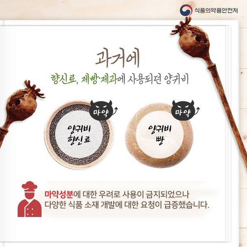 ‘마약 성분’ 양귀비, 식품원료로 사용할 수 있다? 사진 2번