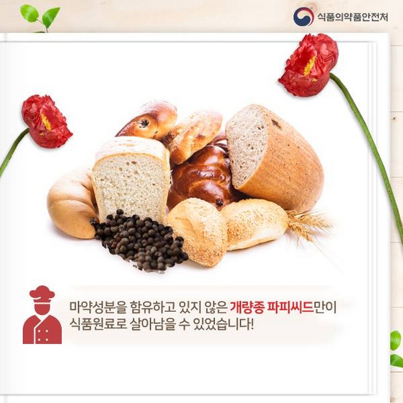 ‘마약 성분’ 양귀비, 식품원료로 사용할 수 있다? 사진 4번