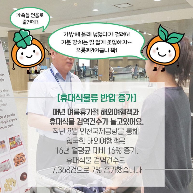 해외여행갔다가, 열대과일, 휴대식물 가져와도 되나요? 사진 7번