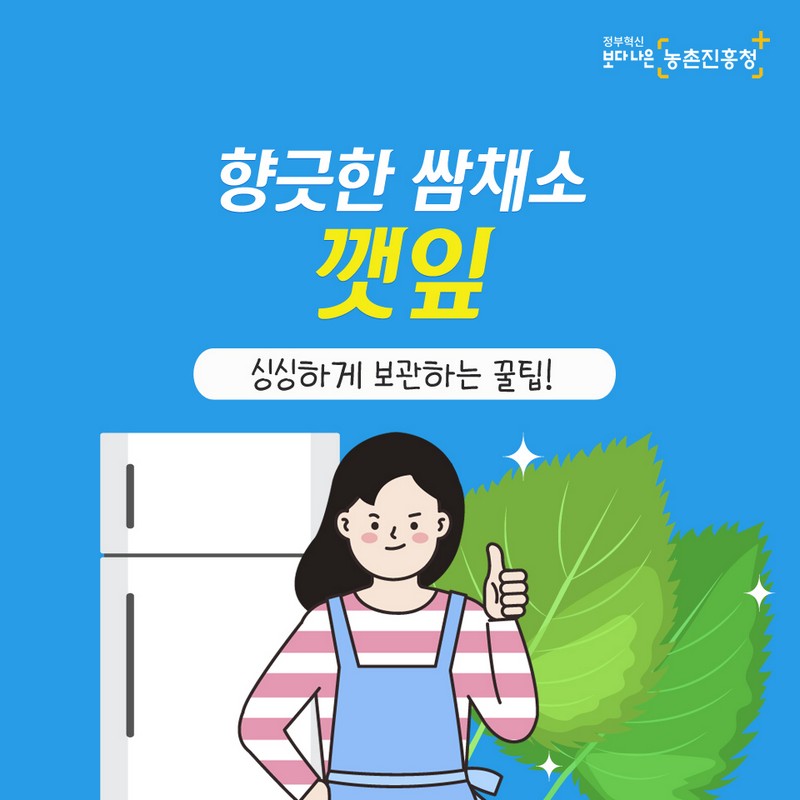 향긋한 쌈채소 깻잎 싱싱하게 보관하는 꿀팁! 사진 1번