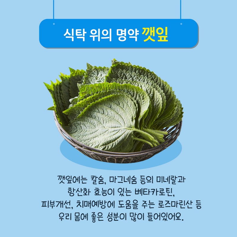 향긋한 쌈채소 깻잎 싱싱하게 보관하는 꿀팁! 사진 2번