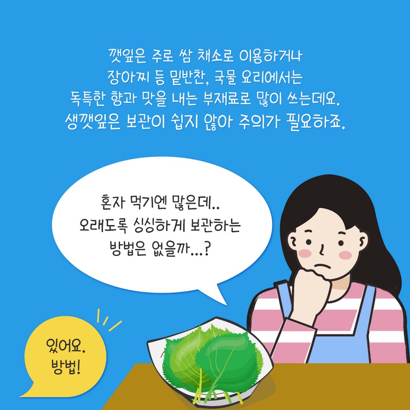 향긋한 쌈채소 깻잎 싱싱하게 보관하는 꿀팁! 사진 3번