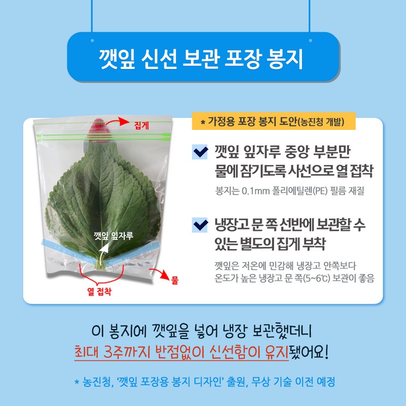 향긋한 쌈채소 깻잎 싱싱하게 보관하는 꿀팁! 사진 4번