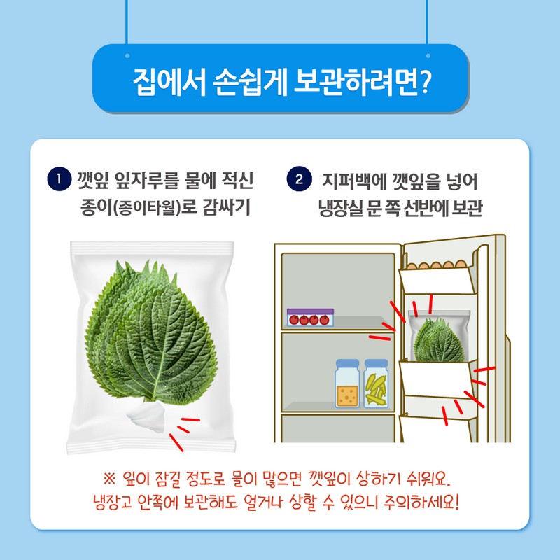 향긋한 쌈채소 깻잎 싱싱하게 보관하는 꿀팁! 사진 5번