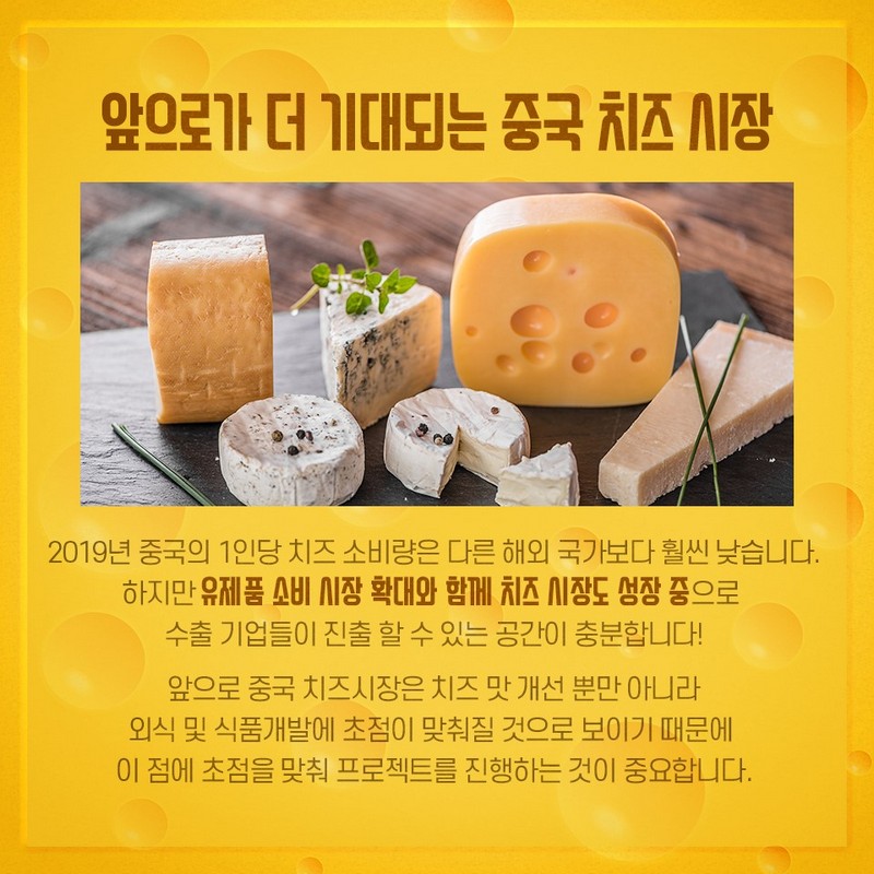 단짠단짠 매력에 풍덩 빠진 중국의 치즈사랑 사진 6번