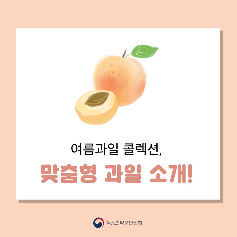 여름과일 콜렉션, 맞춤형 과일 소개! 사진 1번