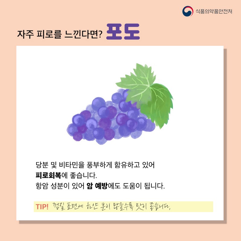 여름과일 콜렉션, 맞춤형 과일 소개! 사진 4번