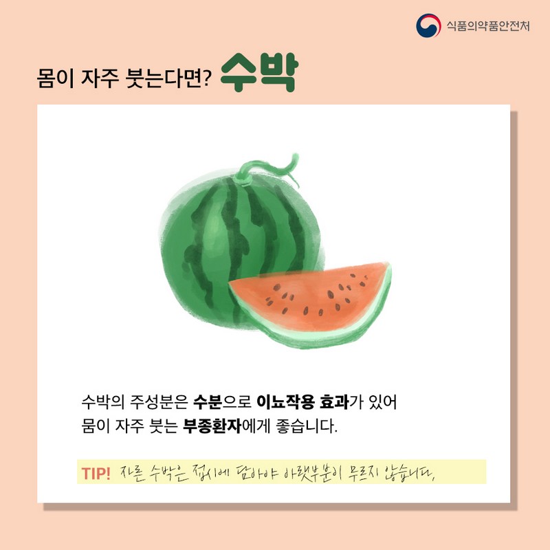 여름과일 콜렉션, 맞춤형 과일 소개! 사진 5번