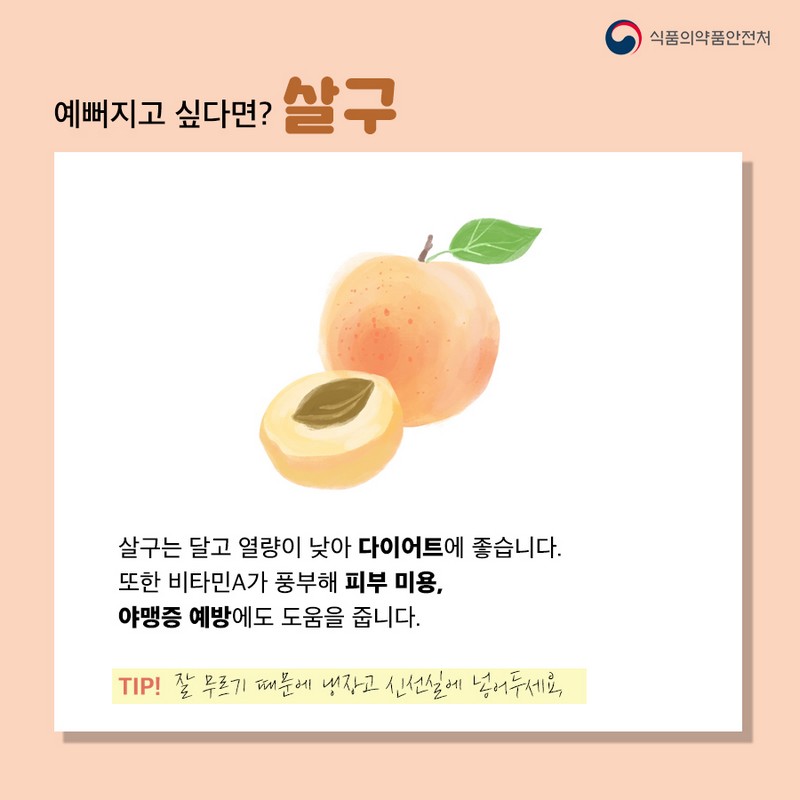 여름과일 콜렉션, 맞춤형 과일 소개! 사진 6번