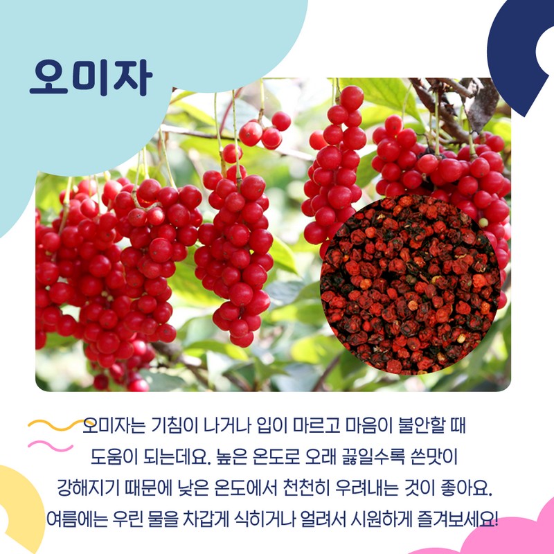 갈증 해소 원기회복에 좋은 산수유 오미자 사진 3번