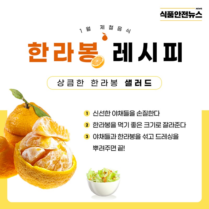 1월 제철음식 한라봉 사진 4번