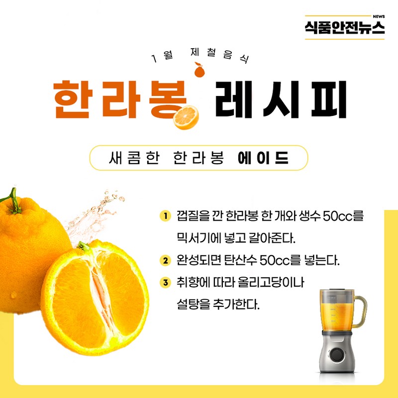 1월 제철음식 한라봉 사진 5번