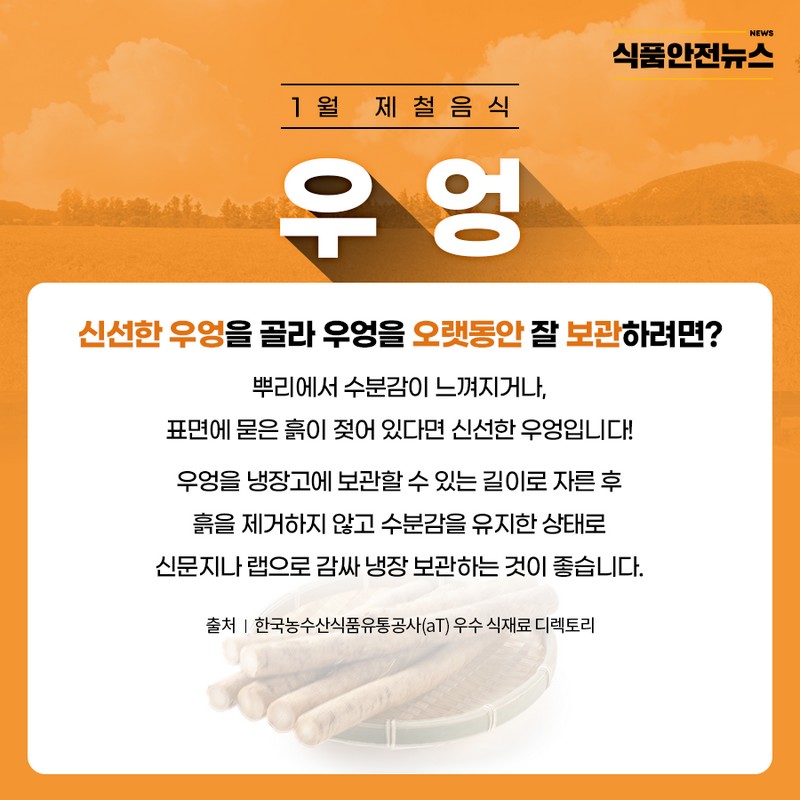 1월 제철음식_우엉 사진 3번