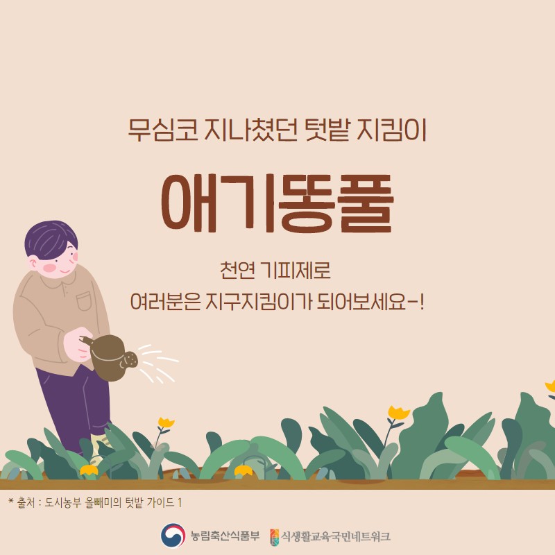 [텃밭의 하루] 천연기피제(애기똥풀) 사진 5번