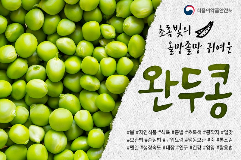 초록빛의 올망졸망 귀여운 완두콩 사진 1번