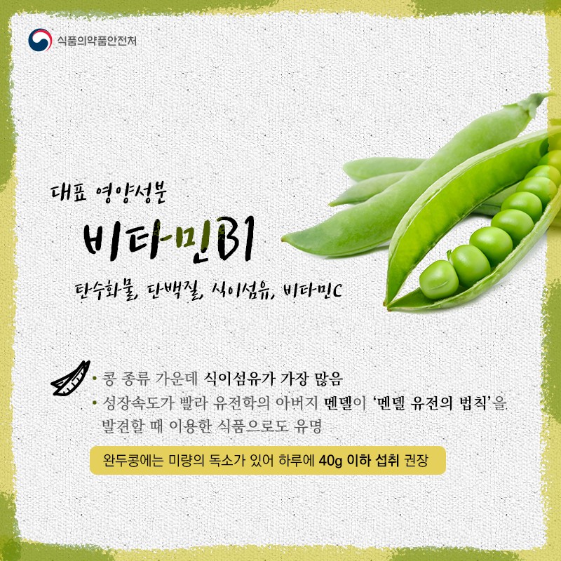 초록빛의 올망졸망 귀여운 완두콩 사진 2번