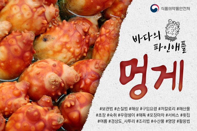 바다의 파인애플 멍게 사진 1번