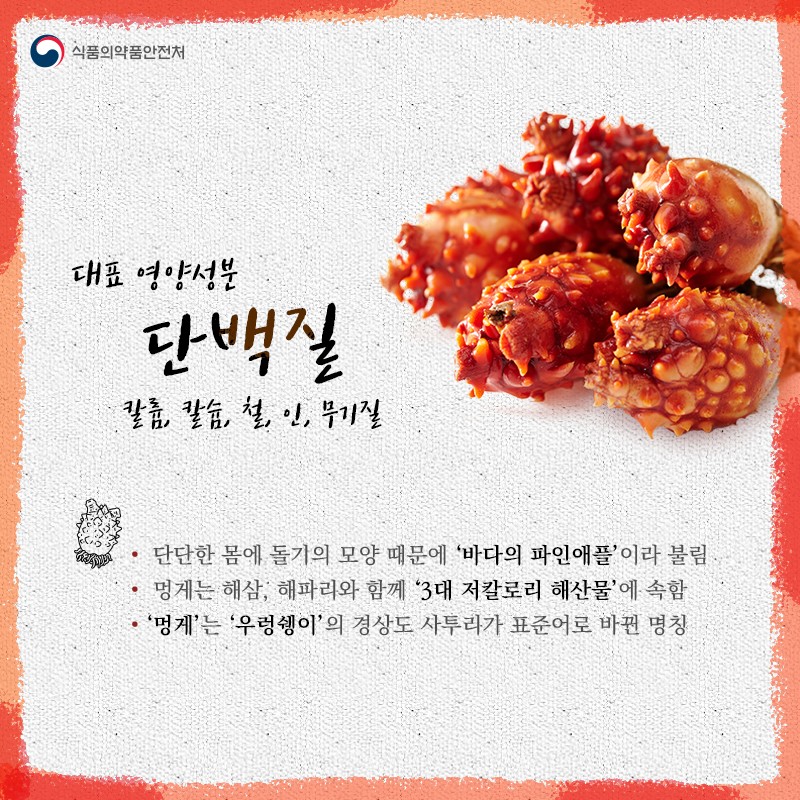 바다의 파인애플 멍게 사진 2번