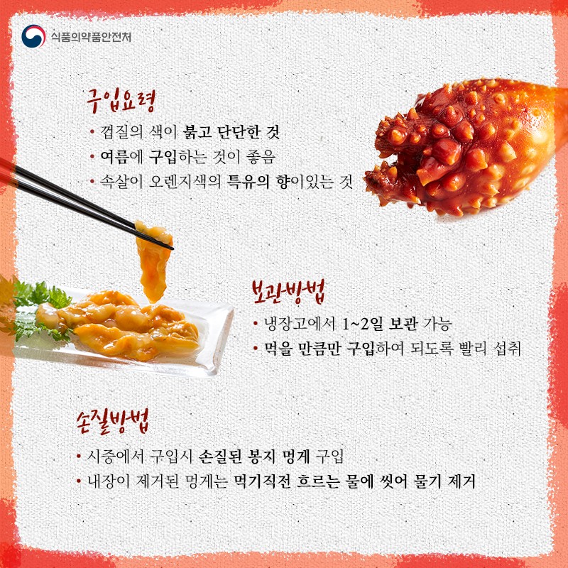 바다의 파인애플 멍게 사진 3번