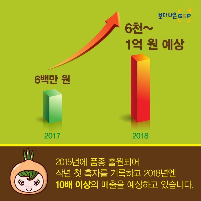 친절한 종자씨와 함께하는 GSP 품종뉴스 - 양파편 사진 6번