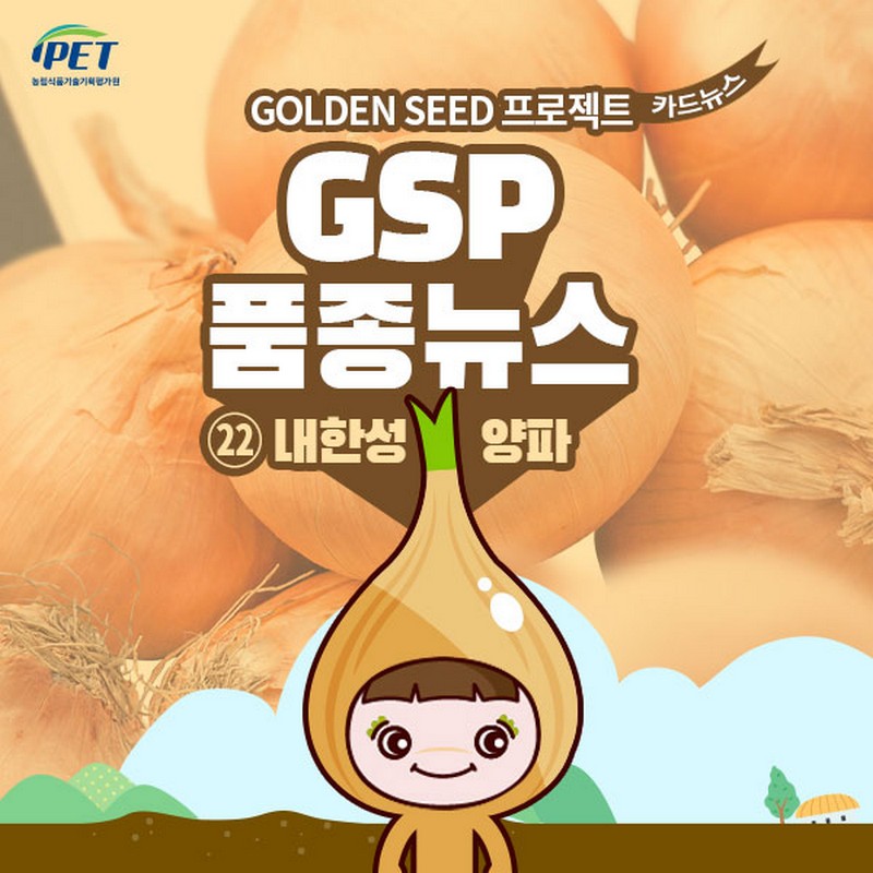 GSP 품종뉴스_22 내한성 양파 사진 1번