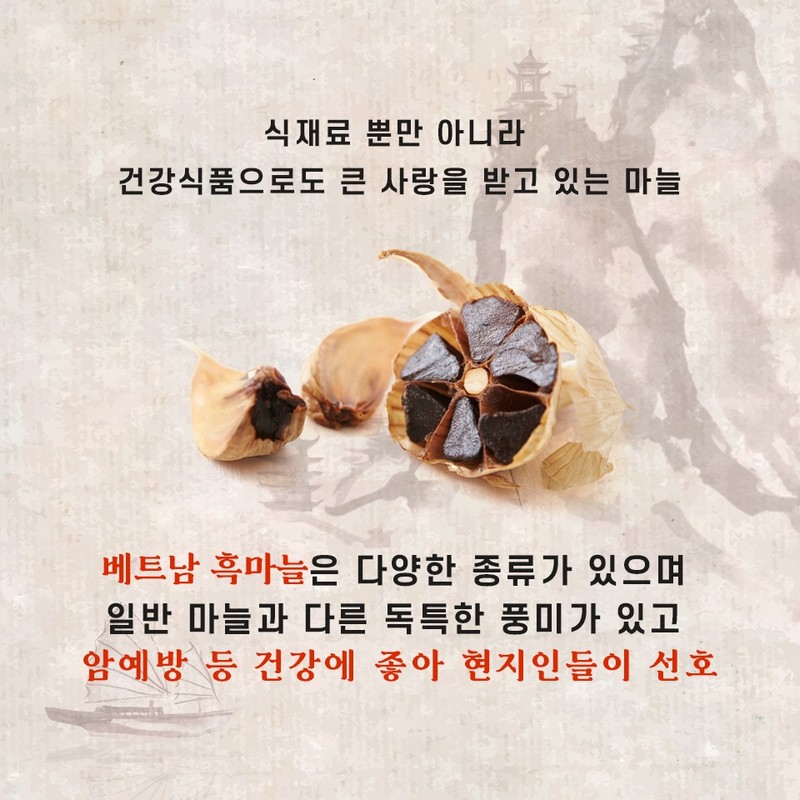 마늘을 사랑한 베트남 사진 4번