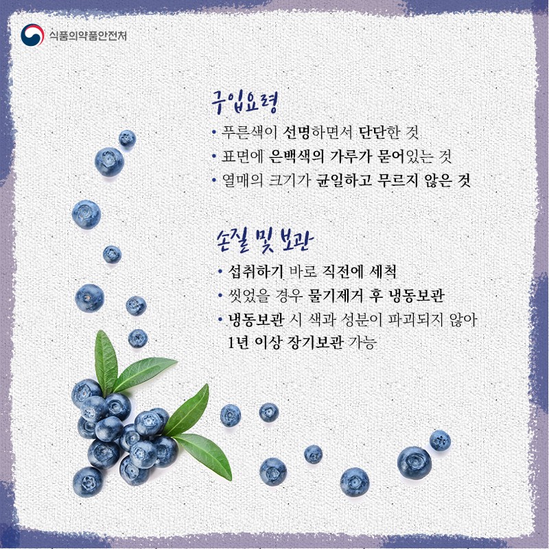 눈 건강에 좋은 블루베리 사진 3번