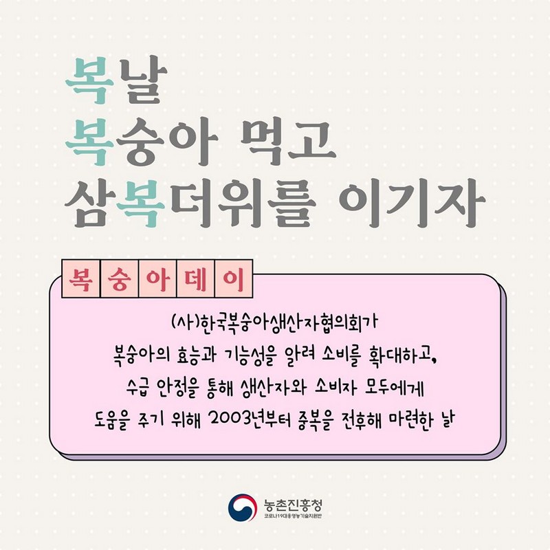 2020 복숭아데이 사진 4번