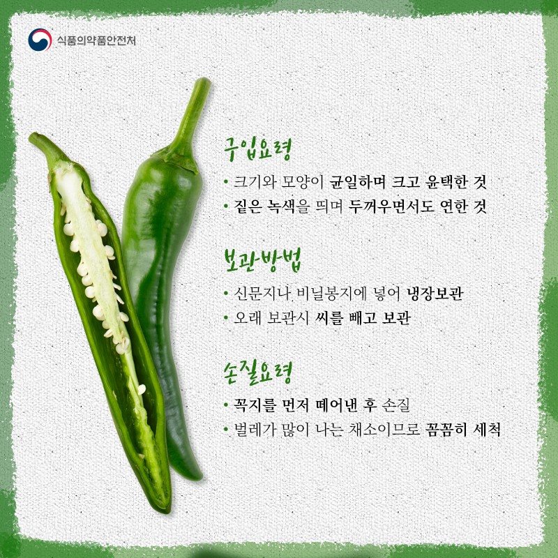 없던 입맛도 되살리는 풋고추 사진 3번