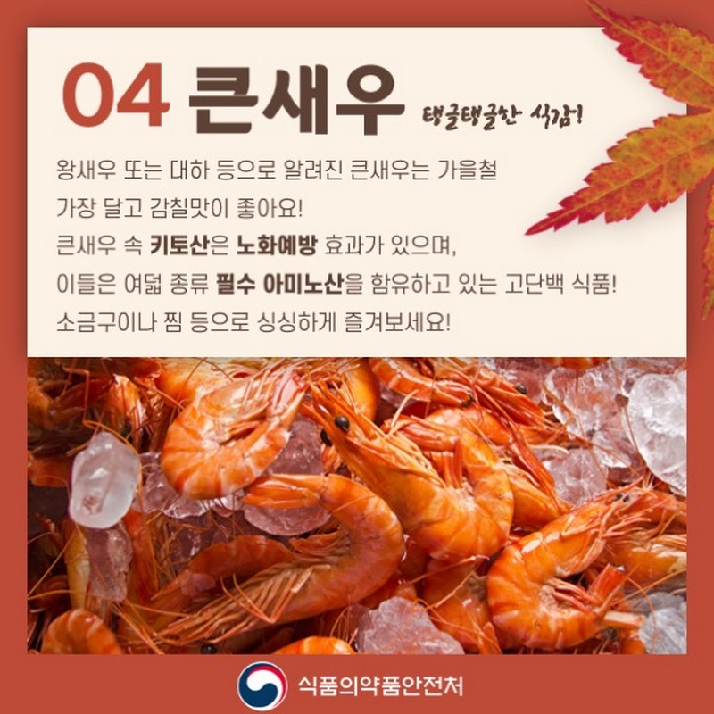 가을에 어울리는 식재료 사진 5번