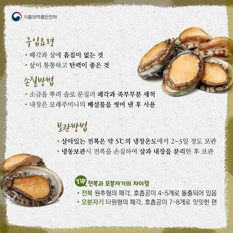 바다의 산삼 전복 사진 3번