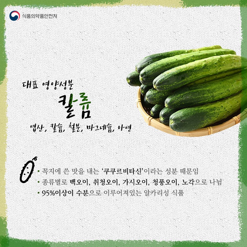 여름철 필수채소, 오이 사진 2번