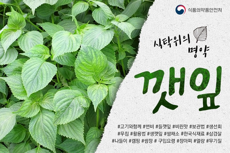 식탁위의 명약, 깻잎 사진 1번