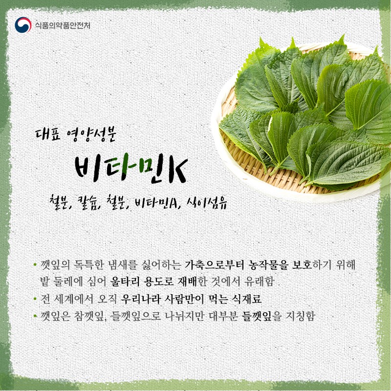 식탁위의 명약, 깻잎 사진 2번