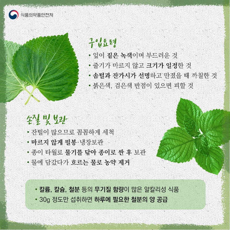 식탁위의 명약, 깻잎 사진 3번