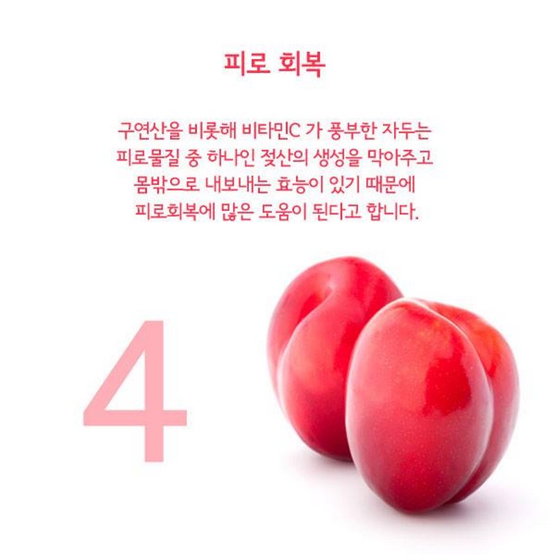 새콤달콤 자두의 효능 사진 5번