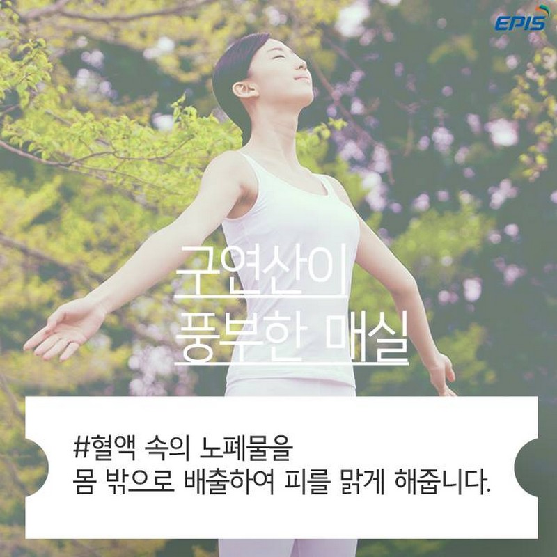 매실의 효능 사진 2번