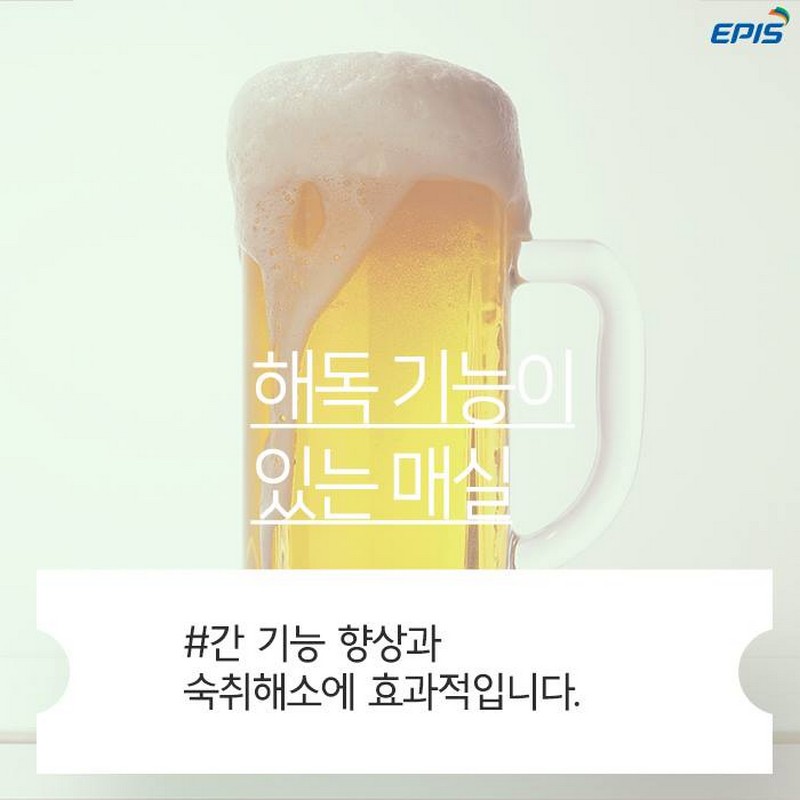 매실의 효능 사진 4번