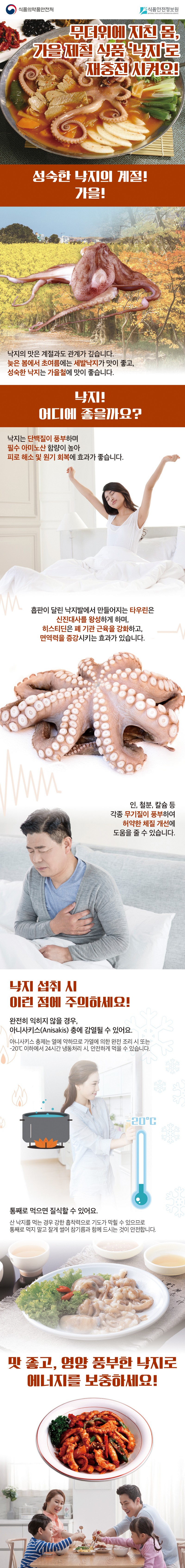 가을제철식품, 영양풍부 ‘낙지’ 알아보기 사진 1번