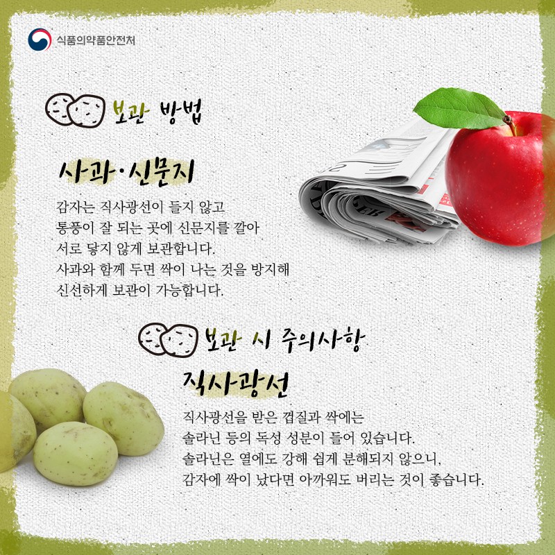 지금이 제철, 감자 사진 3번