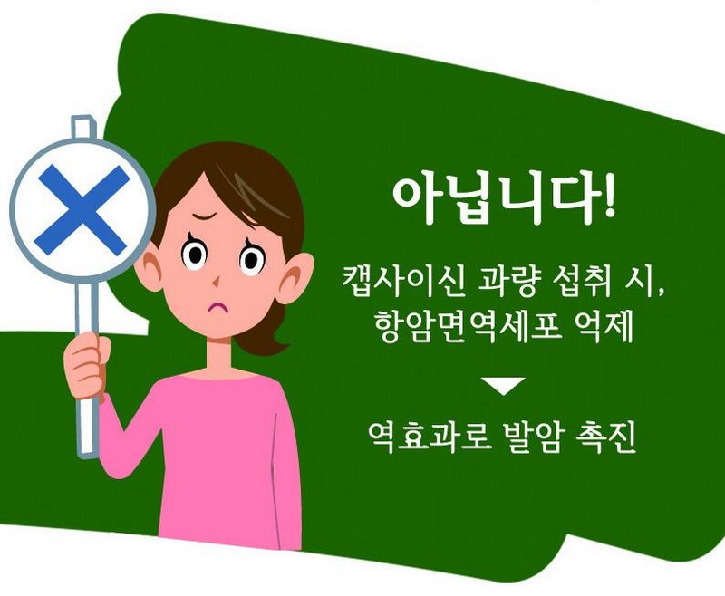 같은 듯 다른~ 각양각색의 매운 맛의 오해와 진실! 사진 13번