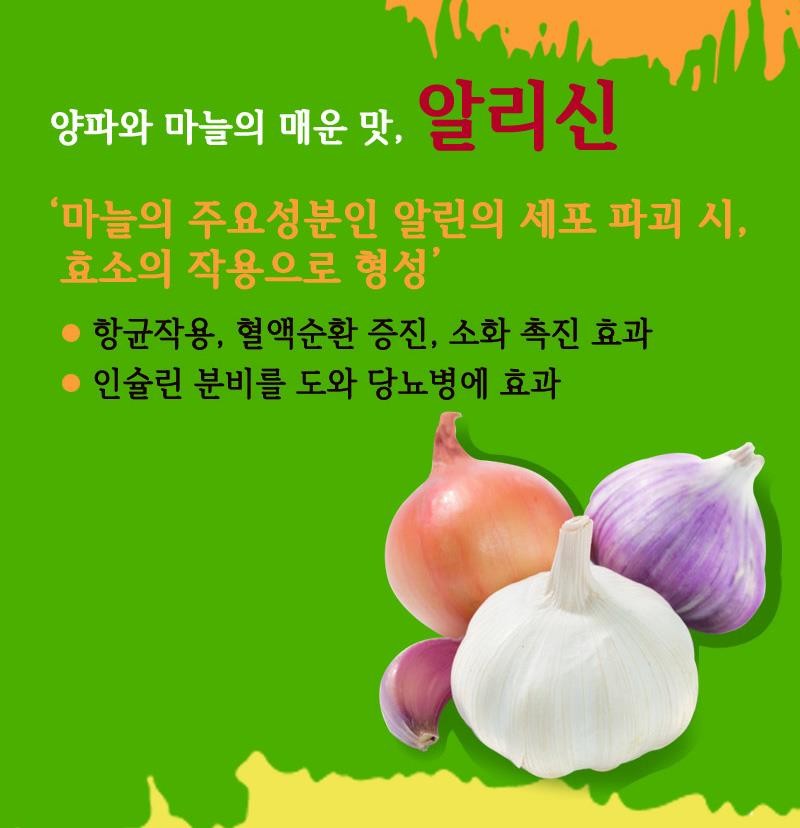 같은 듯 다른~ 각양각색의 매운 맛의 오해와 진실! 사진 3번