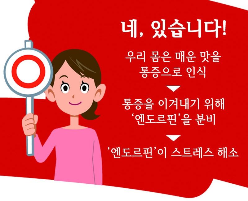 같은 듯 다른~ 각양각색의 매운 맛의 오해와 진실! 사진 7번