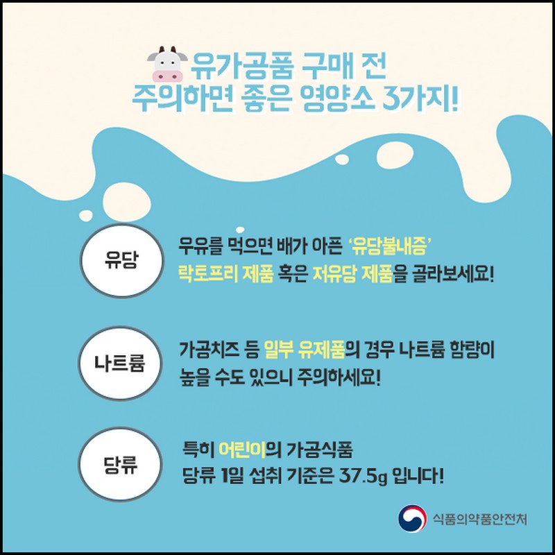 알아두면 유익하고 재밌는 유가공품 TMI 사진 4번