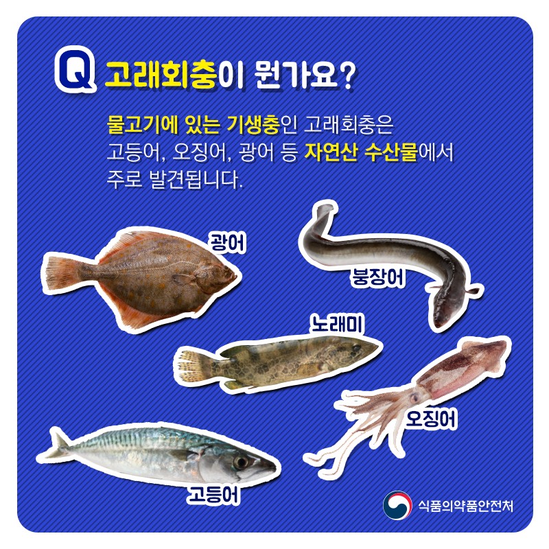 ‘고래회충’ 알아보기 사진 2번