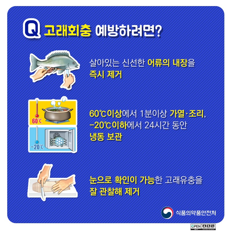 ‘고래회충’ 알아보기 사진 5번