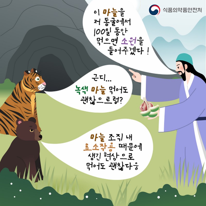 녹색으로 변한 마늘, 먹어도 괜찮을까? 사진 3번