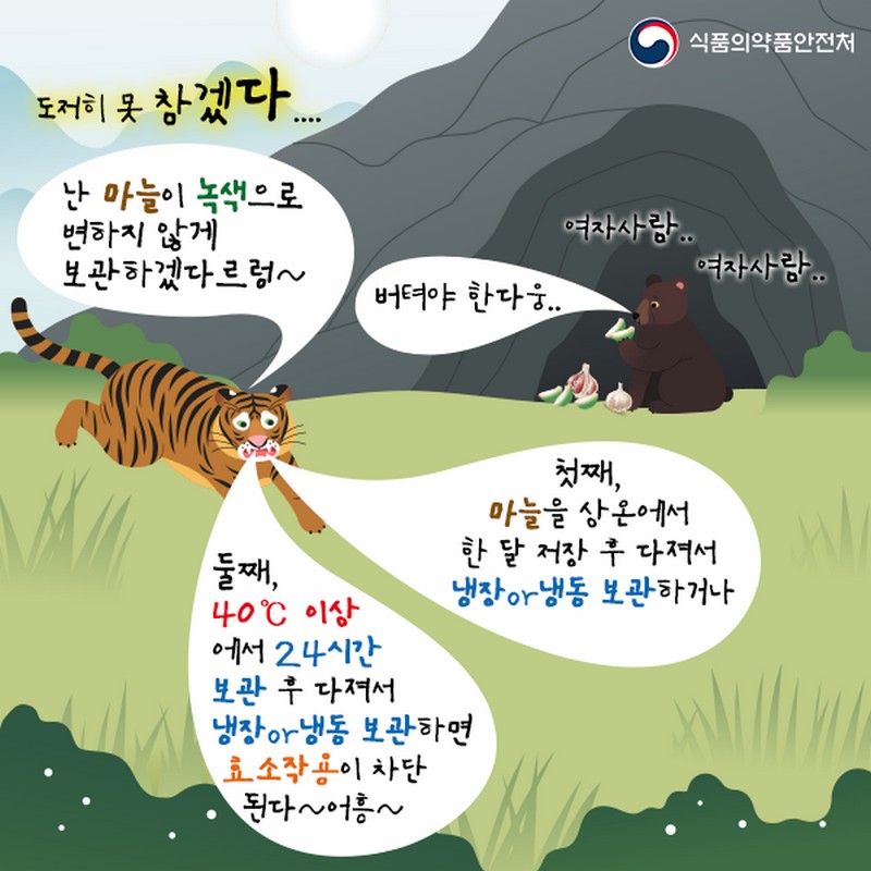 녹색으로 변한 마늘, 먹어도 괜찮을까? 사진 5번